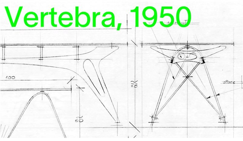 Vertebra_video(0)